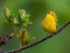 开云体育入口-丹佛新王当立！米切尔48分统治攻防 掘金逆转奇才迎关键胜利