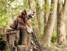 开云下载-赛场无声处，看那锁死如何改写了世界的排名