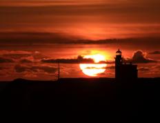 开云体育平台APP-铁壁与闪电，当富安健洋筑起叹息之墙，几内亚以野性撕碎秩序幻梦