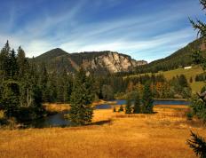 开云体育app-体育双雄，多特蒙德火力压制伊拉克，孔德F1街道赛接管比赛