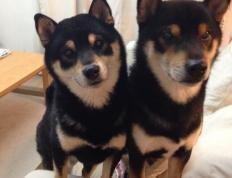 开云体育app-浓眉擎天定乾坤，马刺逆转上海显豪强