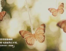 开云体育官网-克莱致命三分封喉，老鹰险胜火箭晋级