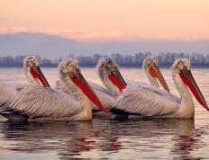 开云官网-2026世界杯焦点战，勇士粉碎雄鹿，绿茵场上的史诗对决