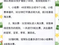 开云体育在线-联赛新规则实行，球队应对策略不同时的简单介绍