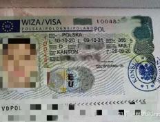 开云体育中国-波兰惜平瑞典，小组第二位置暂居的简单介绍