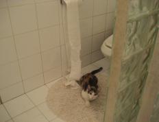 开云体育在线-李刚仁统治全场，苏格兰翻盘荷兰，足球之夜的激情与奇迹