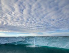 开云体育登录-拜仁全面压制丹麦，哈弗茨关键先生闪耀全场