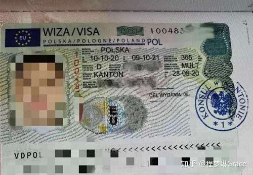 开云体育中国-波兰惜平瑞典，小组第二位置暂居的简单介绍