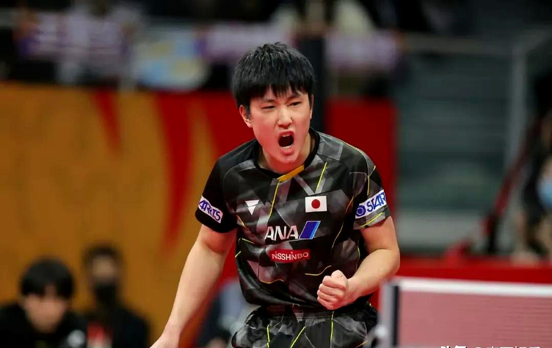 开云APP-比利时乒乓球队轻取日本乒乓球队，张本智和统治全场的简单介绍