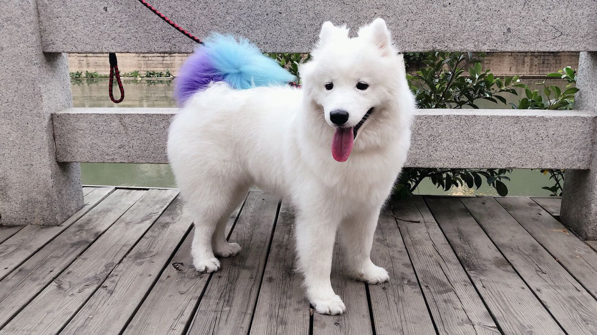 开云体育app-星光闪耀难敌铁壁，久保建英爆发之夜，巴拉圭决胜一击葬送日本希望