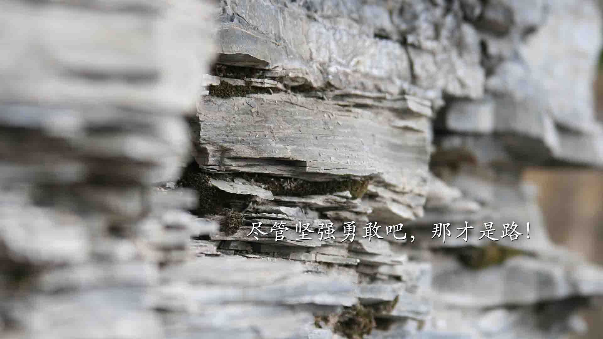 开云体育官网-东西交辉，骑士稳守主场，福克斯闪耀欧洲之巅