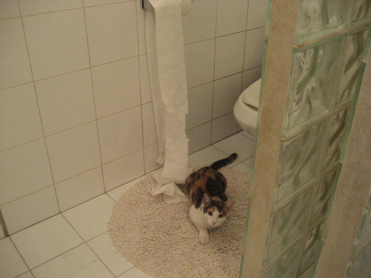 开云体育在线-李刚仁统治全场，苏格兰翻盘荷兰，足球之夜的激情与奇迹