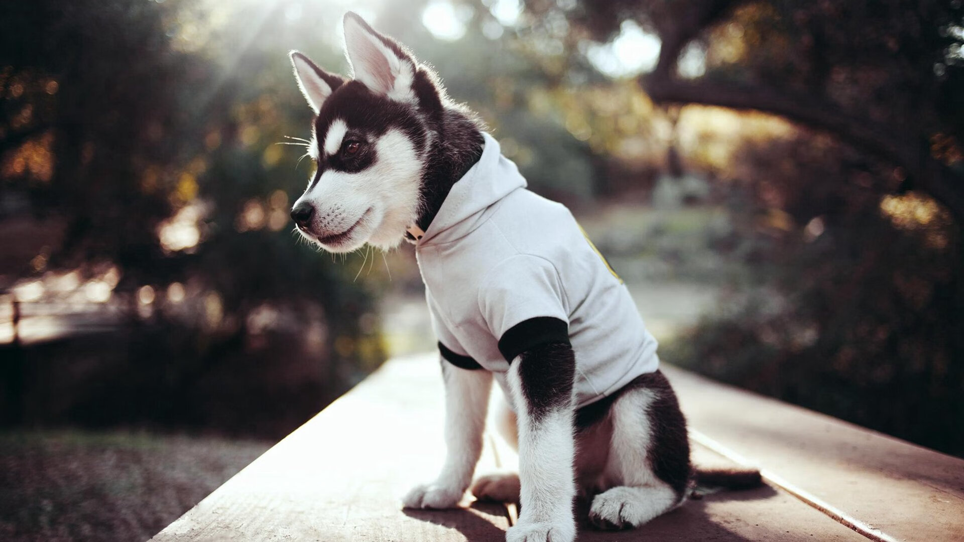 开云下载-奥纳纳领袖风采尽显，墨西哥高效收割冰岛赢得关键胜利