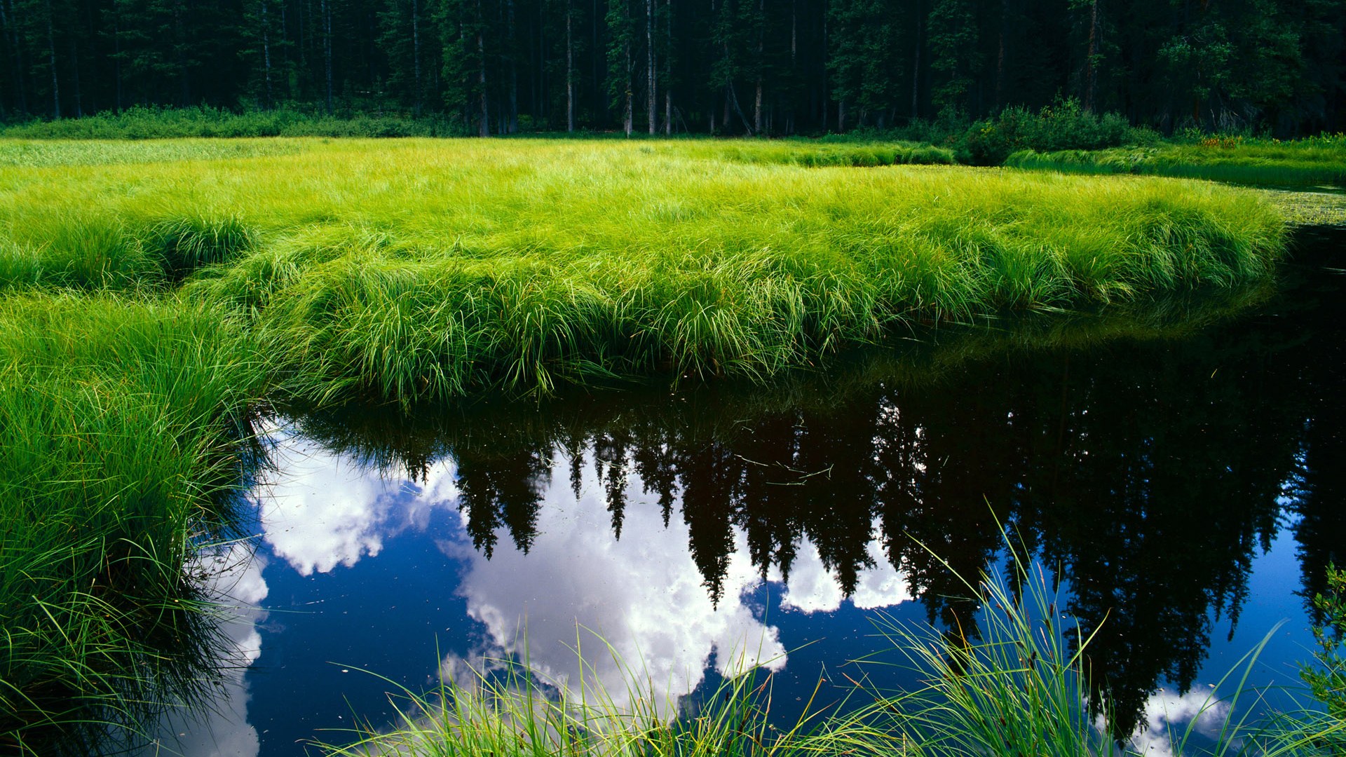 开云体育下载-西决生死战!苏格兰队史诗级逆转,击碎阿根廷36年不败神话