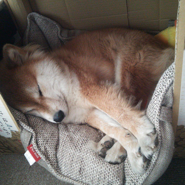 开云体育在线-2026世界杯之夜,伊萨克,那个在攻防转换中点燃战火的男人