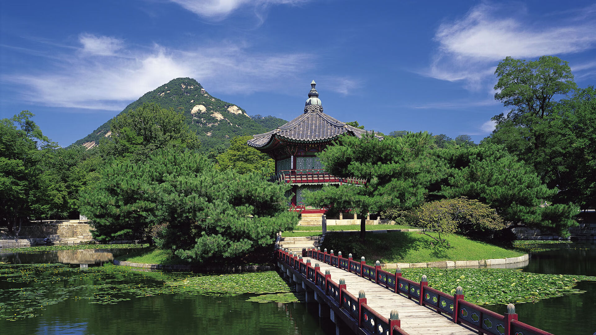 开云体育APP下载-死神挥镰，英格拉姆关键回合手起刀落，国王末节一波流冲垮猛龙