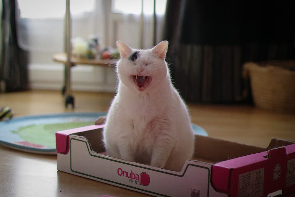 开云体育平台APP-F1街道赛之夜,拉梅洛大场面先生的巅峰对决