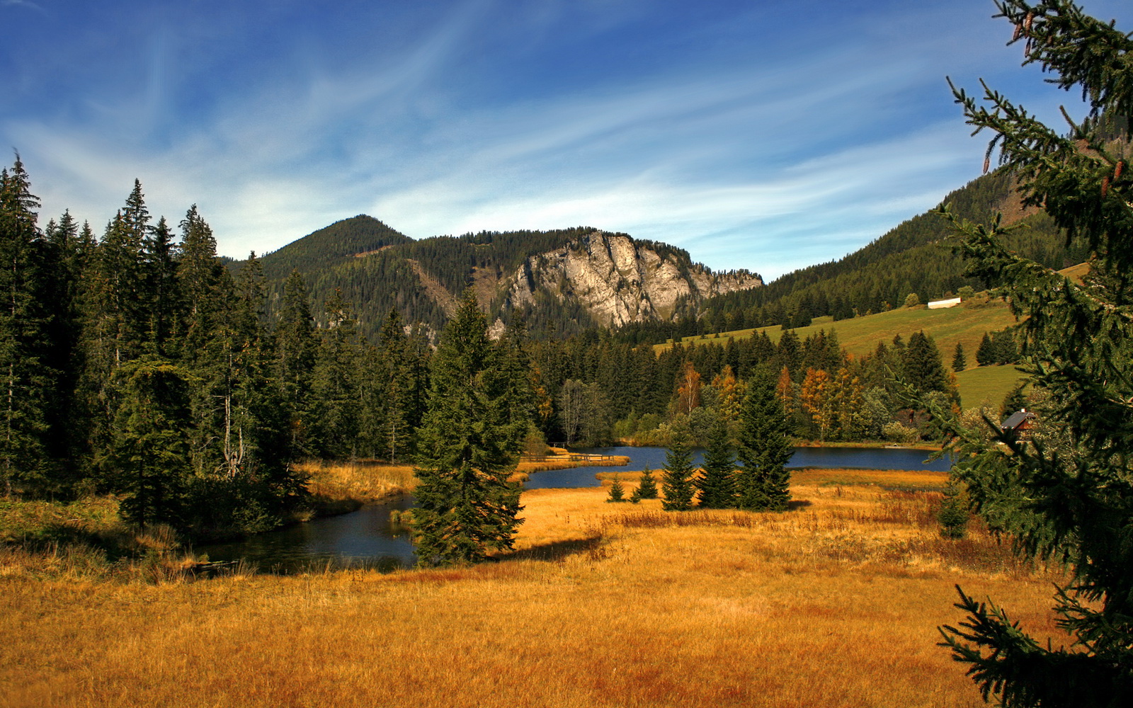 开云体育app-体育双雄,多特蒙德火力压制伊拉克,孔德F1街道赛接管比赛