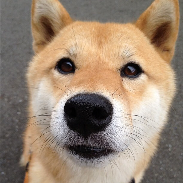 开云APP-拉梅洛单骑救主末节疯砍19分,尼克斯乱战终结76人