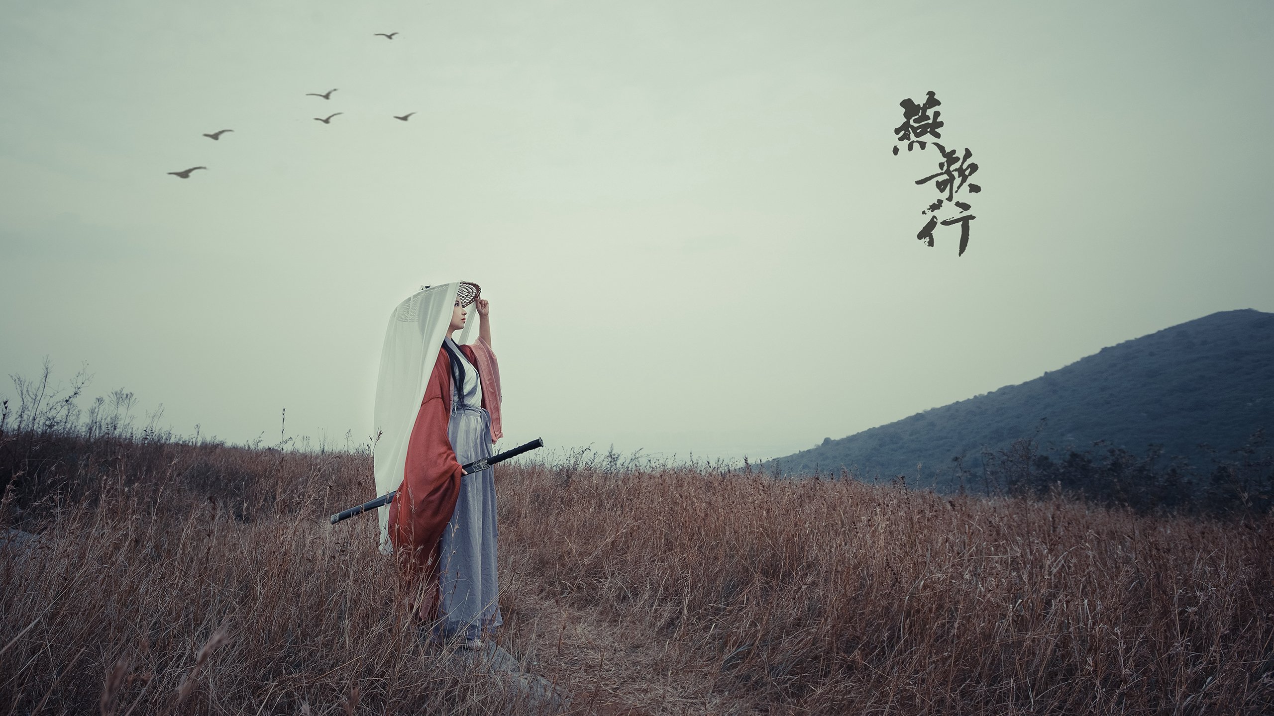 开云体育-双星记，当哈兰德点燃赛场时，冰岛在另一个时空狂胜塞内加尔