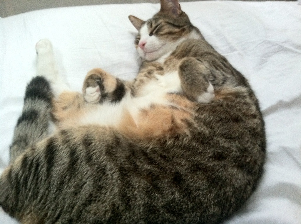 开云官网-风暴之眼，内马尔如何以一人之力搅动阿森纳与加纳的天平